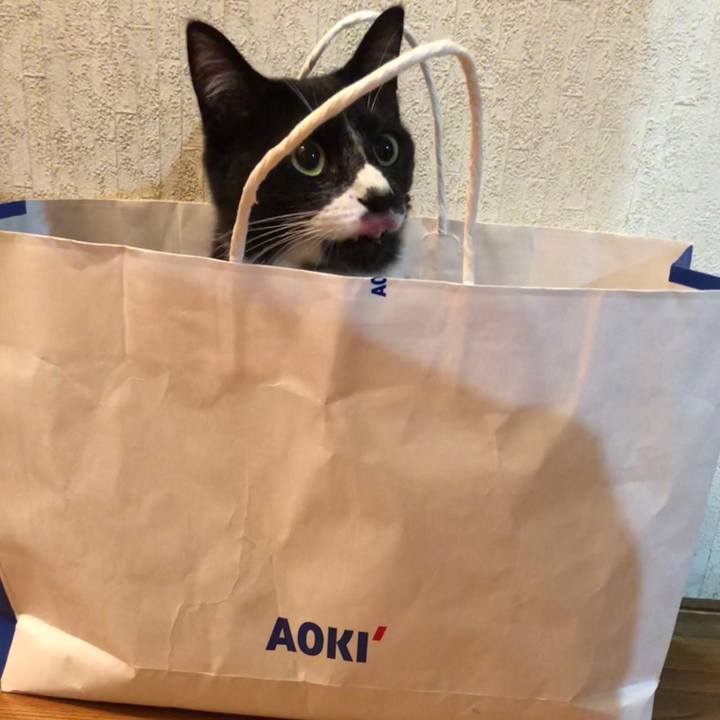 639ef924 8fd1 4945 b2a2 4a65b1f2f697 1528170097078