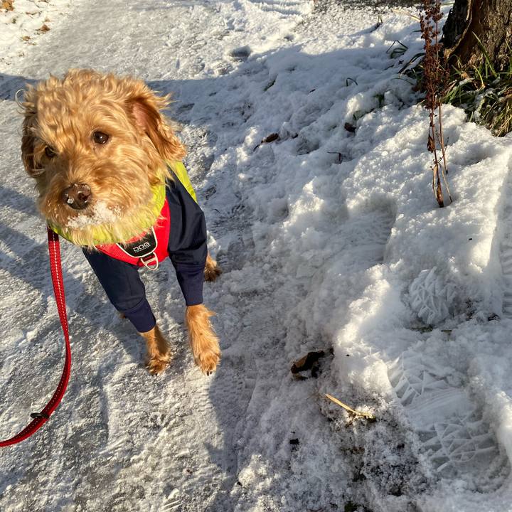 639f2bfe 8f39 431f bf7b 197e64725de4 1670719441679