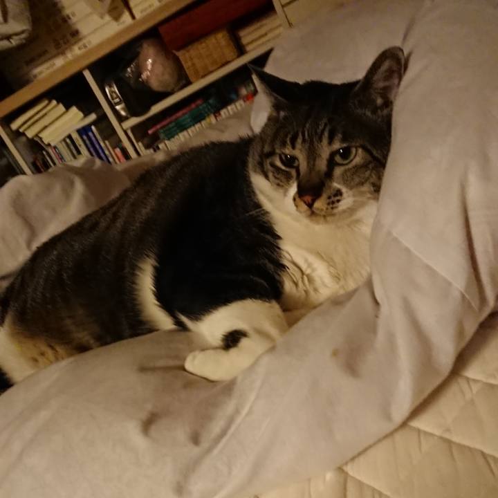 639f3101 0260 4cc2 936c 7a5406a76458 1526207208940