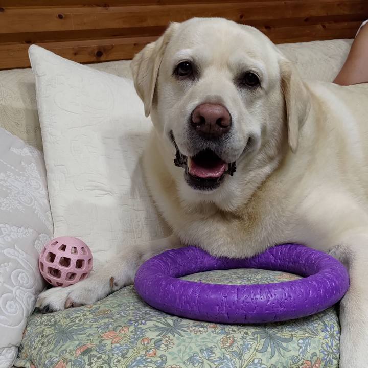 639f3298 f1c7 41db 9883 6438e1f2bf97 1695209615122