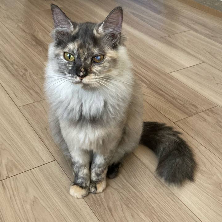 639f4f73 81c0 4efd b31c b9672f53fad3 1705363273540