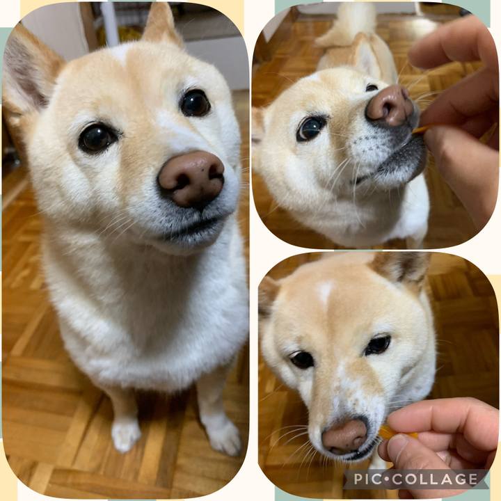 639f579f 1116 4f59 a00d a2989c77380a 1653959894171