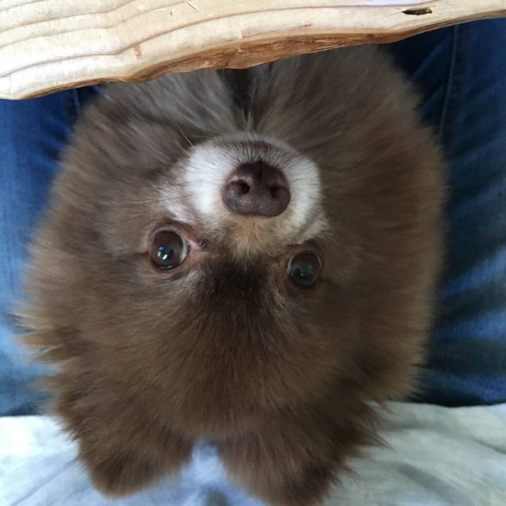 639f5a1e f40c 4ec6 908b 945096653cff 1527282421433