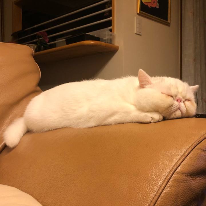 639f6167 dfde 4995 a80e 74e70eea139a 1572534546015