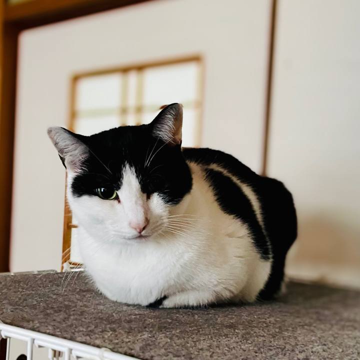 639f652e 2c77 46fd 9958 e88edc55e875 1609639911548