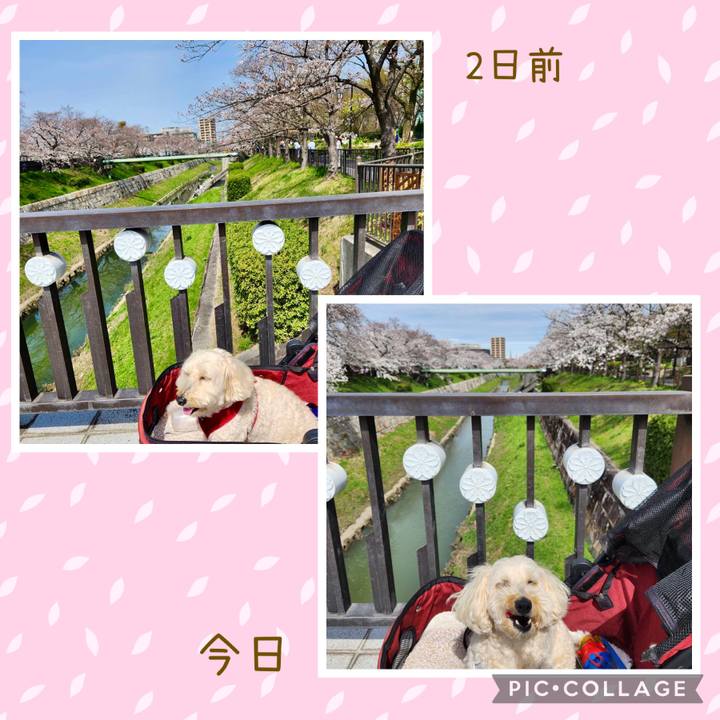 639f88a5 1451 4365 8c56 c14a9e4915c0 1712204388022