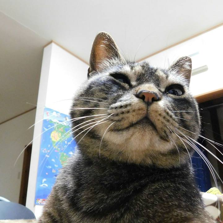 639fdaec 1756 4f8f 8a5e 93ae95df02e8 1530193392112