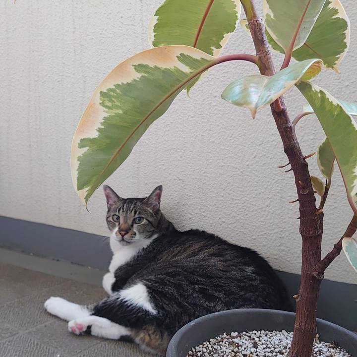 639fde71 f5bf 404e bdbf 61e174ce5a8e 1727667799925