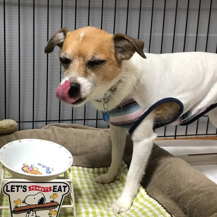 63a0184e e1ac 4014 91a7 af135ff3daa6 1537048070594