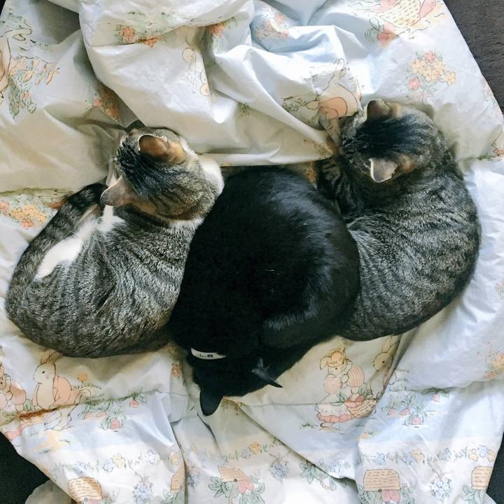 63a02003 cca5 438c bff7 4a82c2913ea8 1522397003663