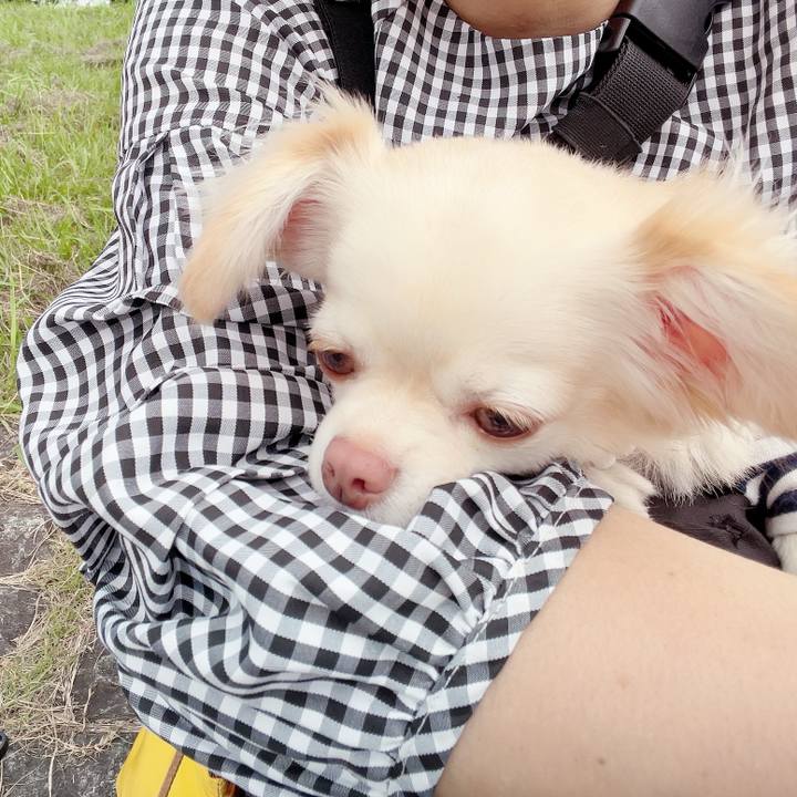 63a05252 a2b6 4817 b349 c3707f05c0d1 1695981235044