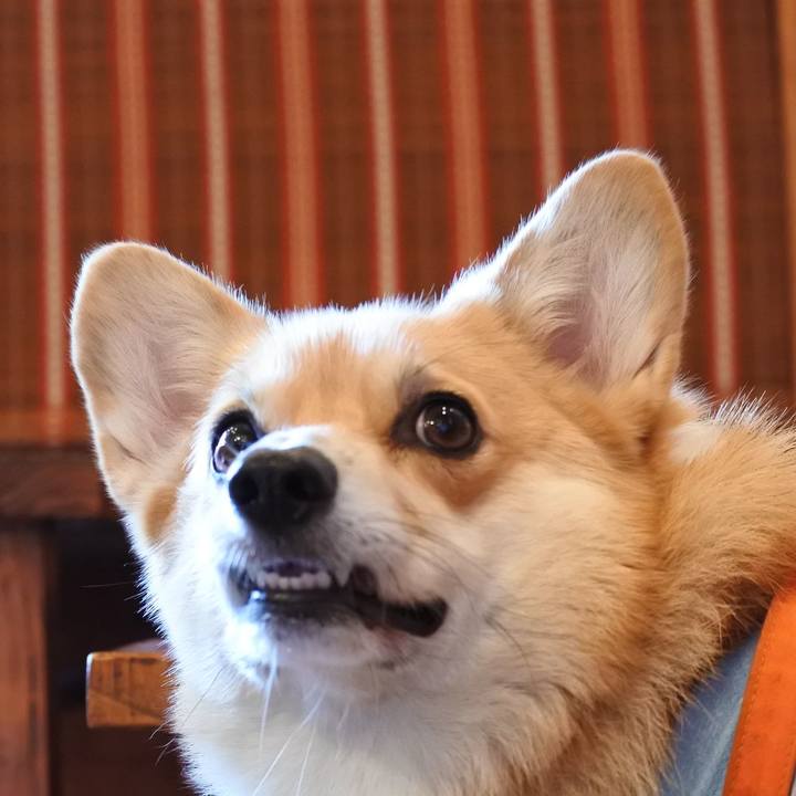 63a05cc9 3b76 47be 89d0 5a66a929d396 1568591218425