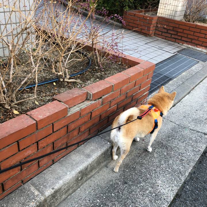 63a06c33 7a17 4a51 bea3 34071e61103a 1576403661287