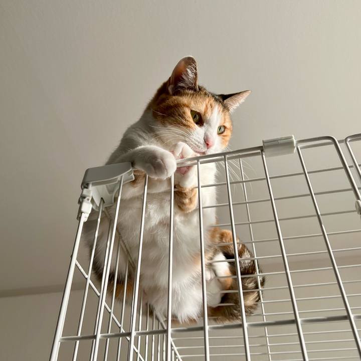 63a077d7 14ef 4064 8a1c b9f601f4ed83 1764386085348