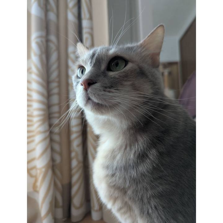 63a08aca 29b8 4585 a6e8 7c74bb69c00d 1742715348020