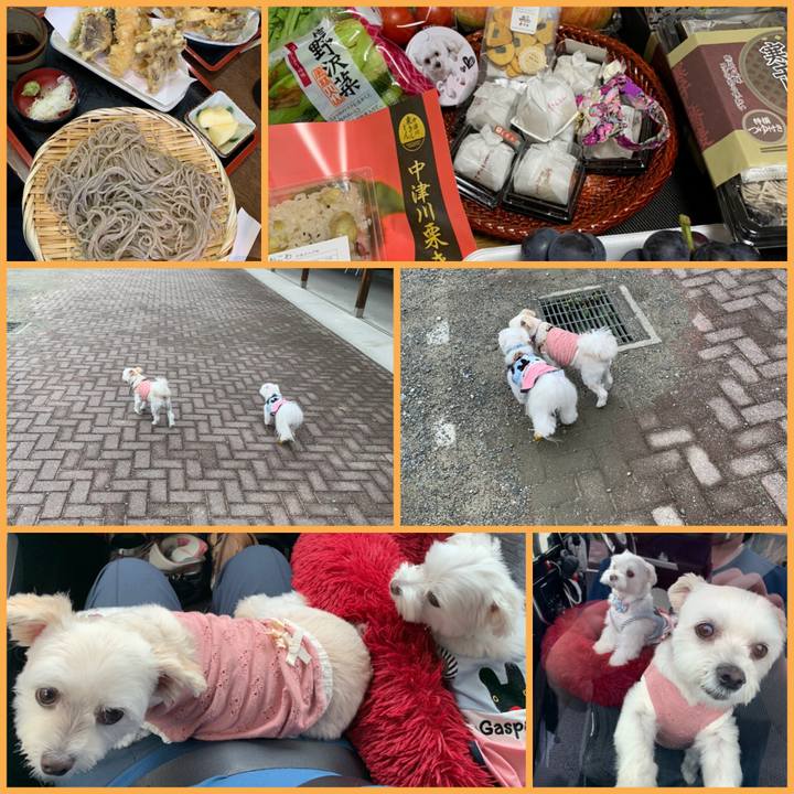 63a09e0d b362 44f9 9a14 9e08551e67e5 1633090413764