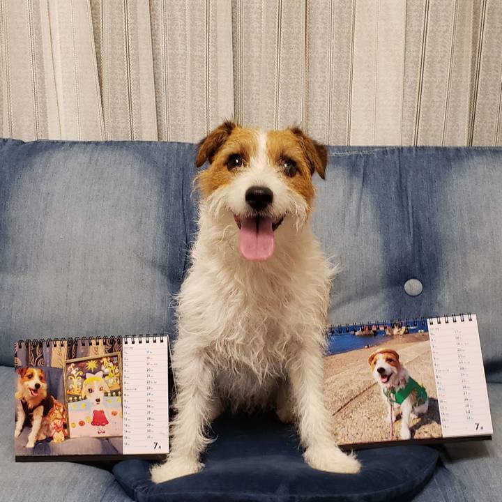 63a0d4ed c34d 4e58 96ff 70434897c8be 1625141193887