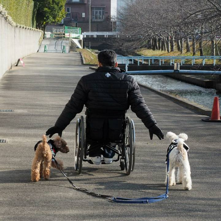 63a0f3d9 1291 44fe af01 3b27ad95b53f 1516520053738