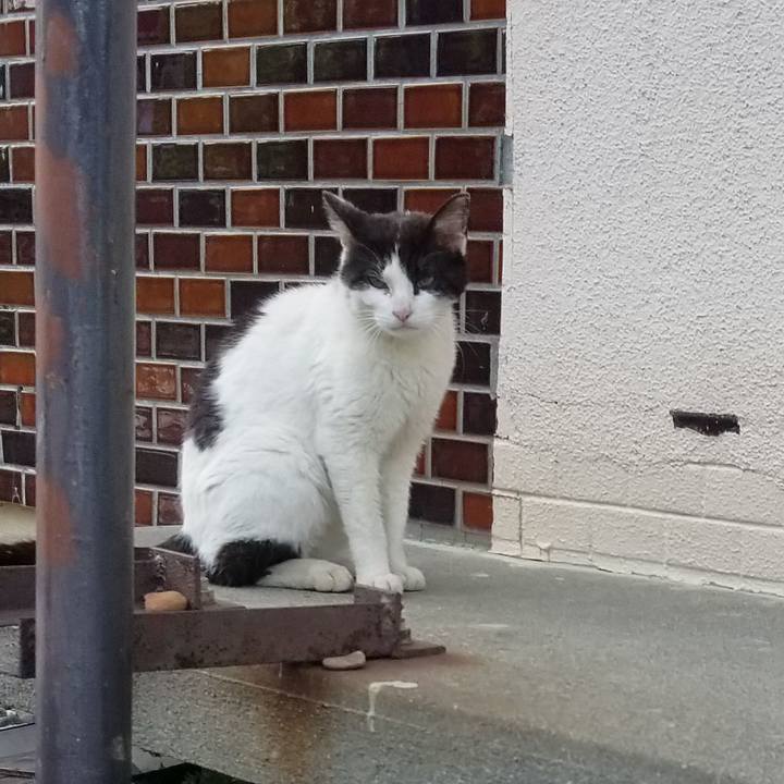 63a110f8 15c9 46ba 9f4d d4261b4bb382 1686236071857