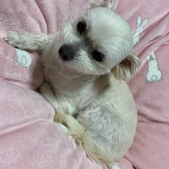 63a11179 26cd 4ae3 b997 50dcbbc8caf0 1648463779241