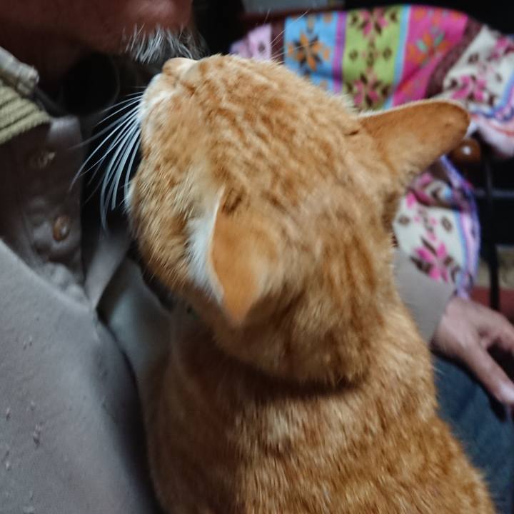 63a112fa 8095 4346 b2bf aa307f002298 1585080553871