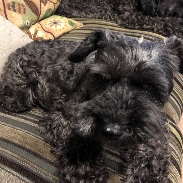 63a12486 85f5 4018 8a3f 2be80164808a 1595324736059