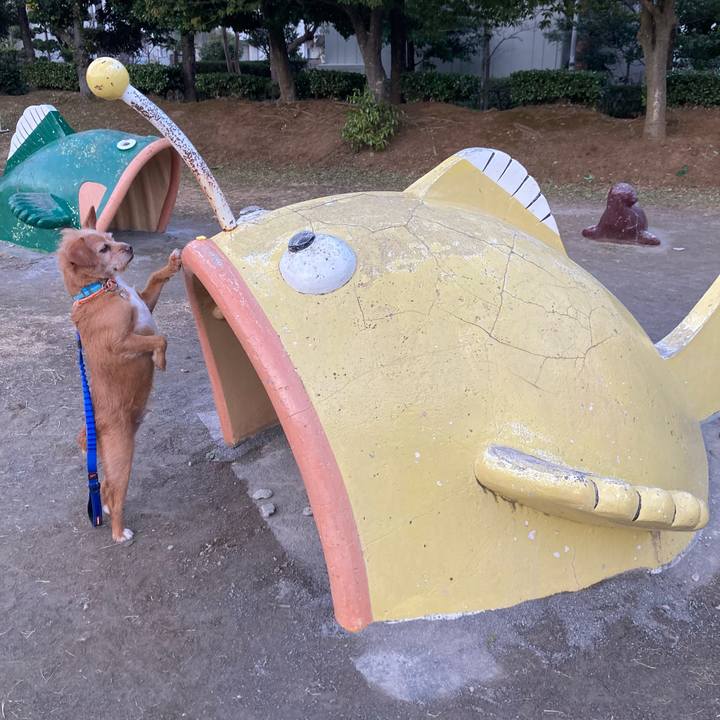 63a12599 a35b 4af6 9890 48d8aaa9d74c 1641819866089