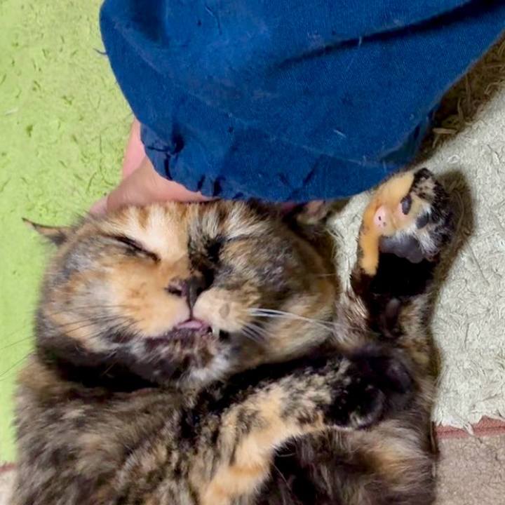 63a1411e c380 40be ac77 44b07abc16a3 1750968689334