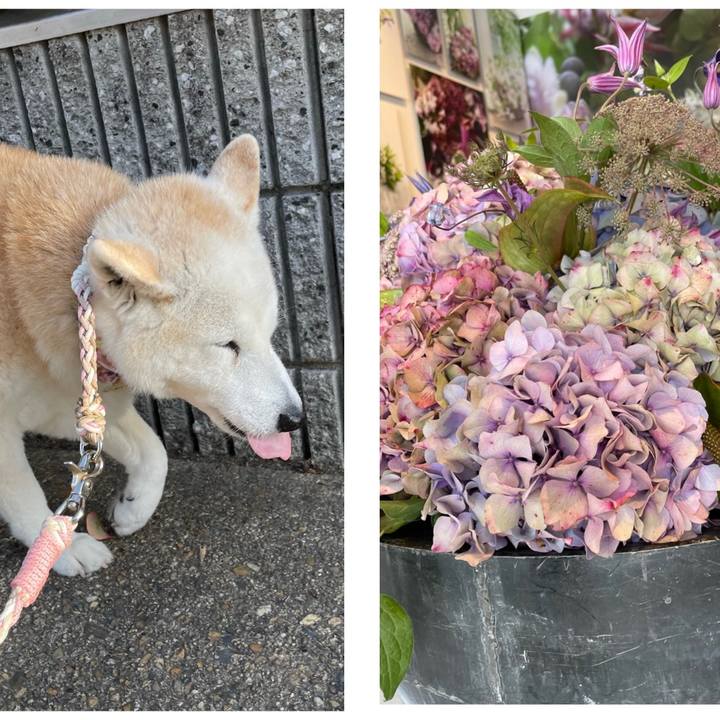 63a15068 9ac4 431e aeef 1b8676de6c35 1682675401256