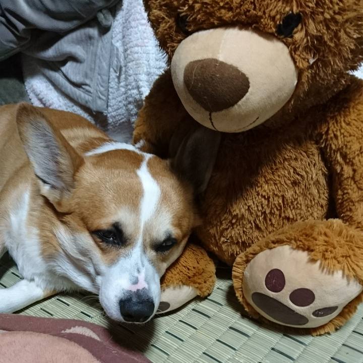 63a15714 8709 48ce 97c9 ec8799a03b05 1615438387779