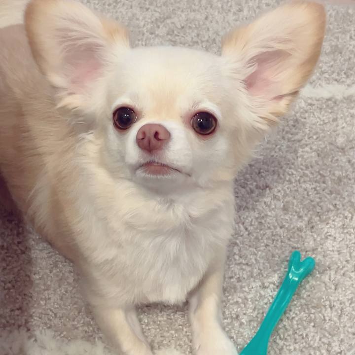 63a1754a f925 488d acf9 0fc4a845c78f 1695126383059