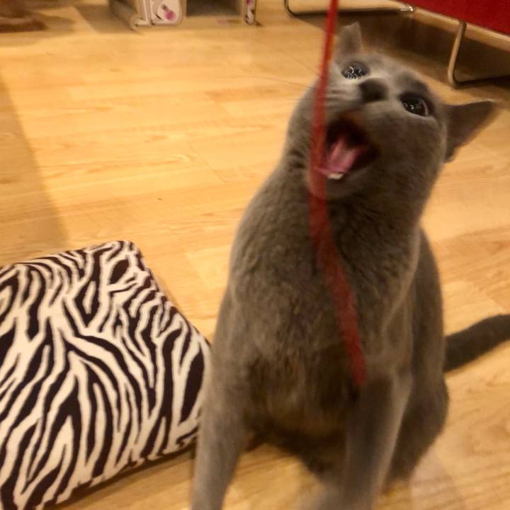 63a1af66 19a6 49c1 90ed 1563a6814f8a 1582435847247