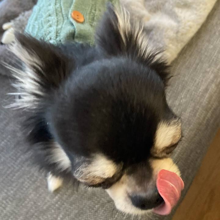 63a1e88b 3f80 4a7b bc84 efa0c9c0d3da 1641271155072