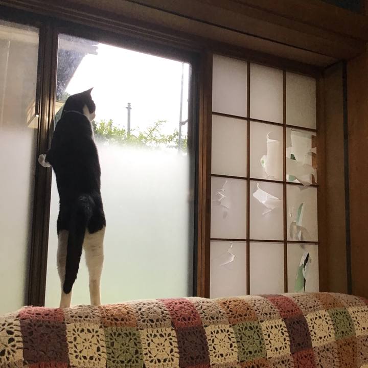 63a1f4b7 4094 49b7 9dc8 d3c615a501eb 1719099584319