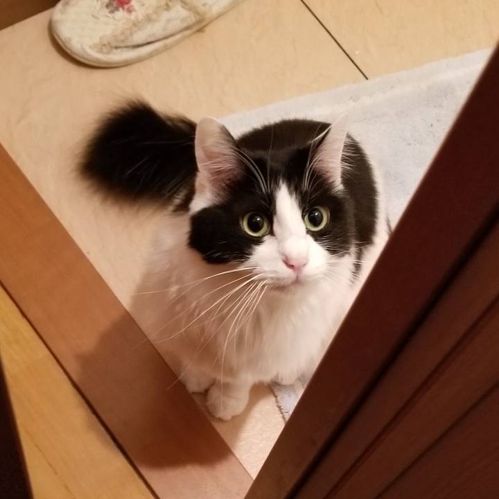 63a20755 c707 46e9 a4a9 0bca67dfeb5f 1580082632291