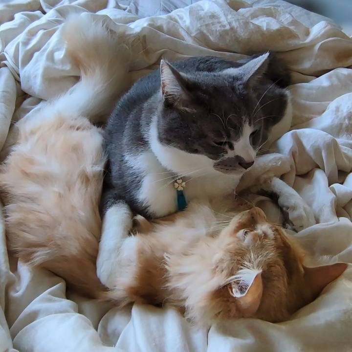 63a20b03 2107 4a36 b6a8 8e75f5c10231 1728783091315