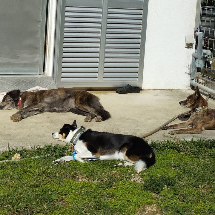 63a21632 5274 4e03 91ef 221fe4d8f6b9 1702270092894