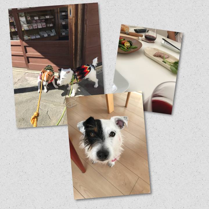 63a219bc 23db 4ac3 95aa 50e72667e667 1518928407684