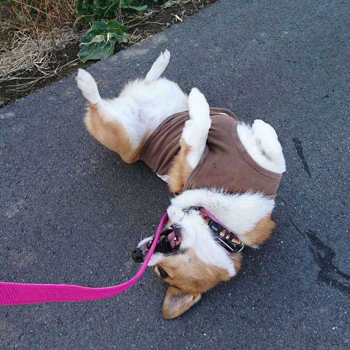 63a243a4 0002 4fe4 8626 9ea4f7839cc4 1516338521154