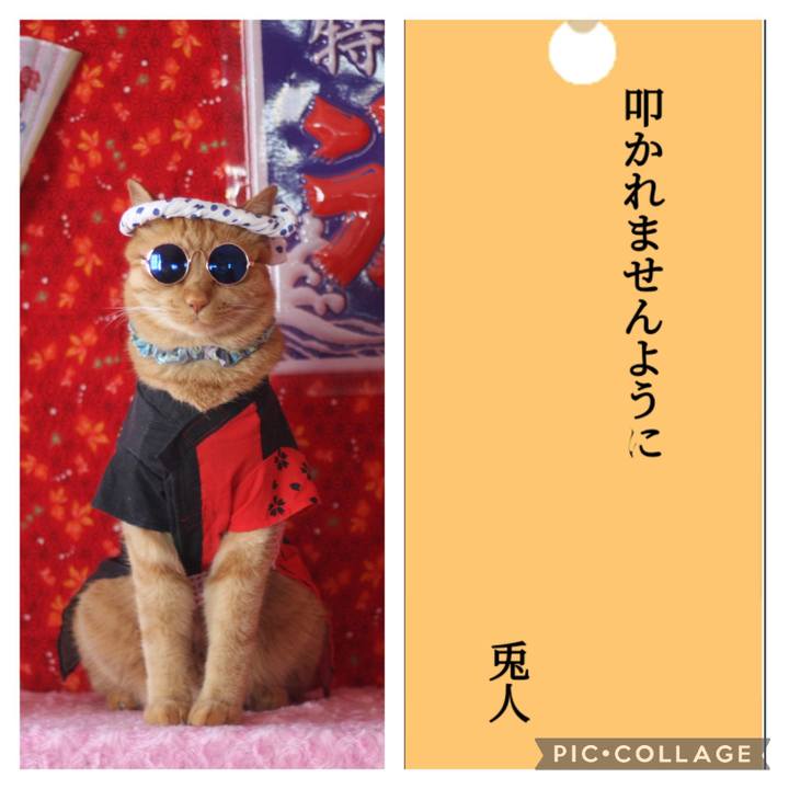 63a246cf 5b24 4cfc b1a3 0604471b3294 1720434950961