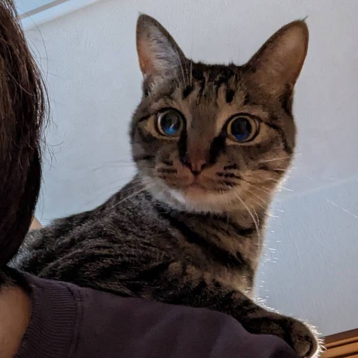 63a2b5e6 4d37 42a0 9ef3 81d012125f55 1742021562007