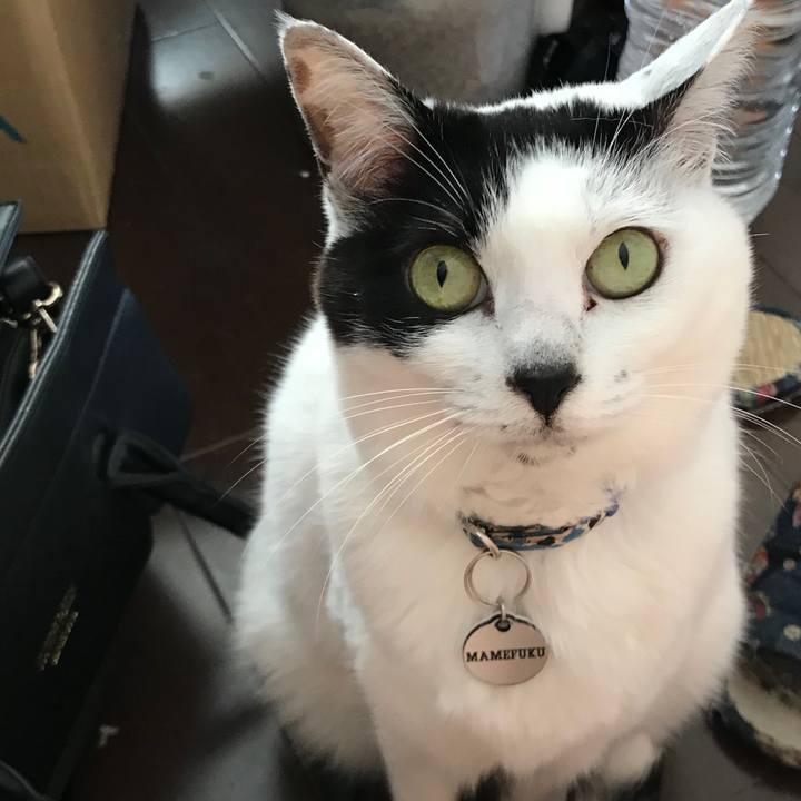 63a2b5f9 0074 469e 9542 1d497c9f6c0a 1552371475912