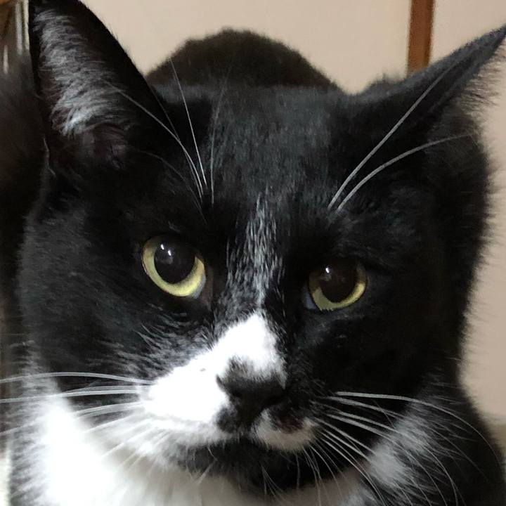 63a2ea6c 3c47 4348 b2fe 91cf1e676d65 1607141866267