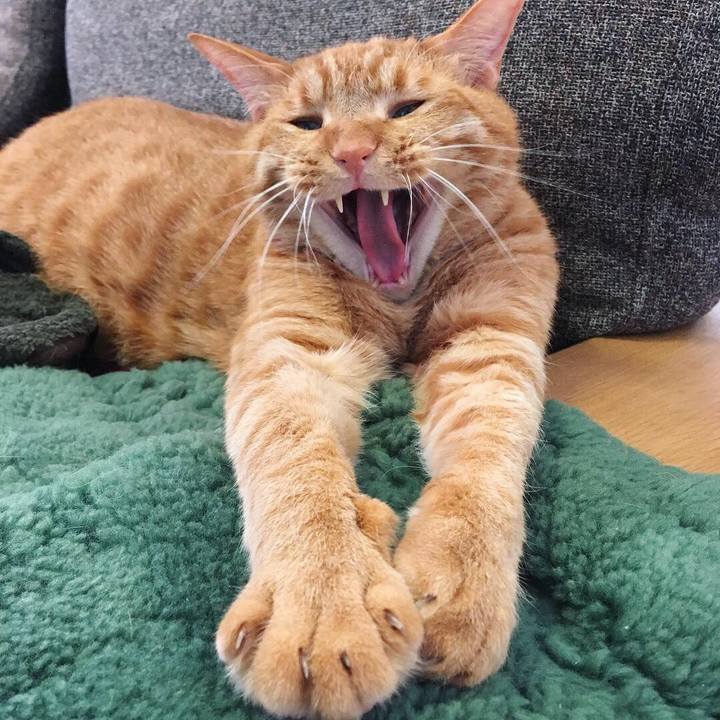 63a32166 3f26 43d4 993f 59cae9738074 1549065847272