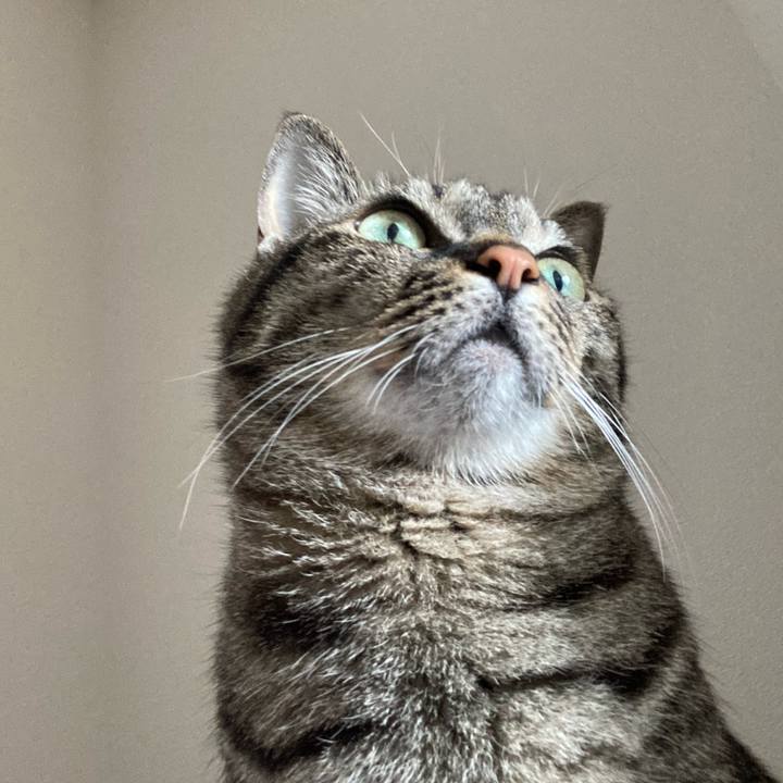 63a331e4 b40a 4e71 b7e9 08e7d72f4ad3 1649467862382