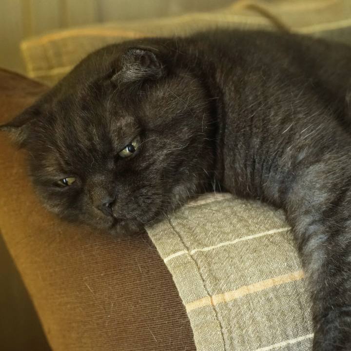 63a34ff1 13a0 4d21 a78c 82df6e2387cd 1595123228394