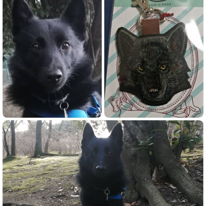 63a3743b cf70 4368 8833 faaa9c9e46df 1611664539369