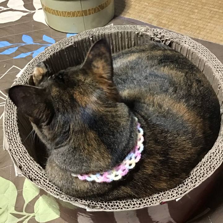 63a3bdf5 8c83 42b1 a842 864794aaf26c 1696413548891