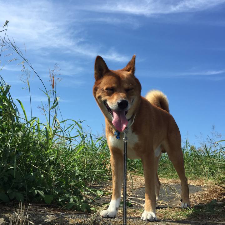 63a3d660 1260 490d a354 33b03ae8e3db 1570251105767