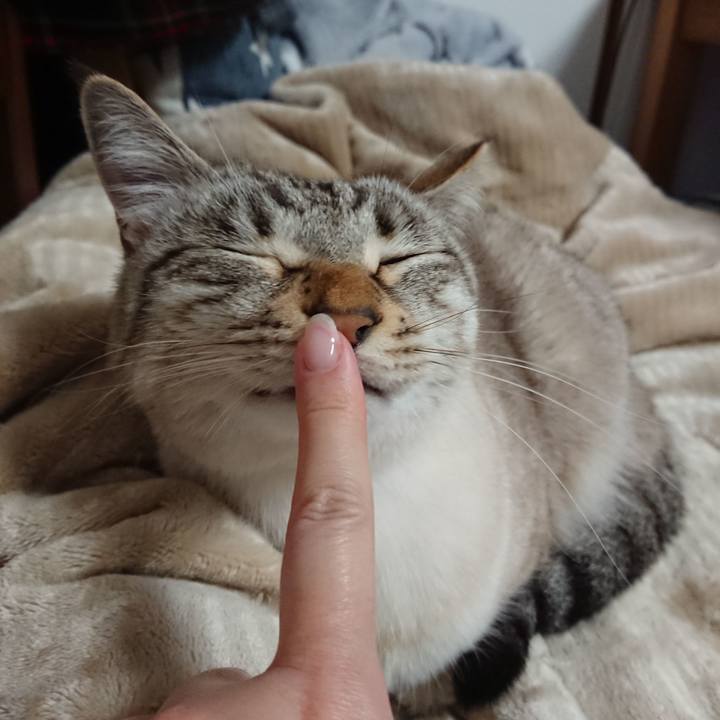 63a3effd 3cbd 4c9e a58a d0806fab436b 1549808505619